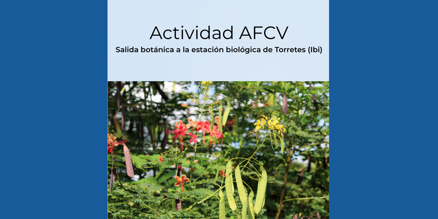 Actividad AFCV. Visita botánica a la Estación Biológica de Torretes (Ibi) - Jardín Botánico de la UA